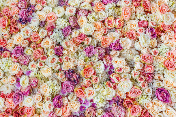 花墙背景与惊人的红色和白色的玫瑰花，婚礼装饰，<strong>手工制作</strong>