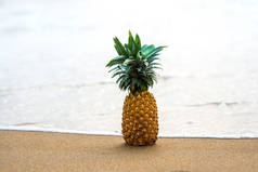 菠萝站在沙滩上