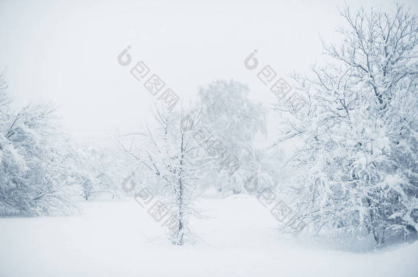 村里的冬天下雪了。雪塌