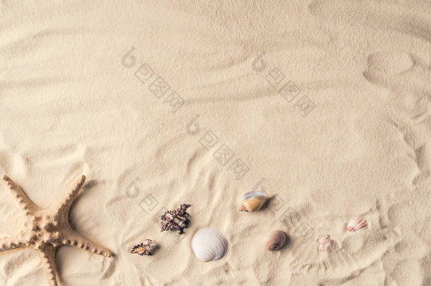 沙滩上的海星和海<strong>贝壳</strong>