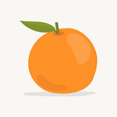 手绘彩色橙色插图