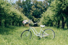 农村花式柳条篮复古自行车的选择重点