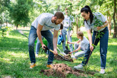 志愿者在绿色公园植树