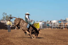 一个牛仔在一个国家牛仔竞技比赛中的公牛骑马活动