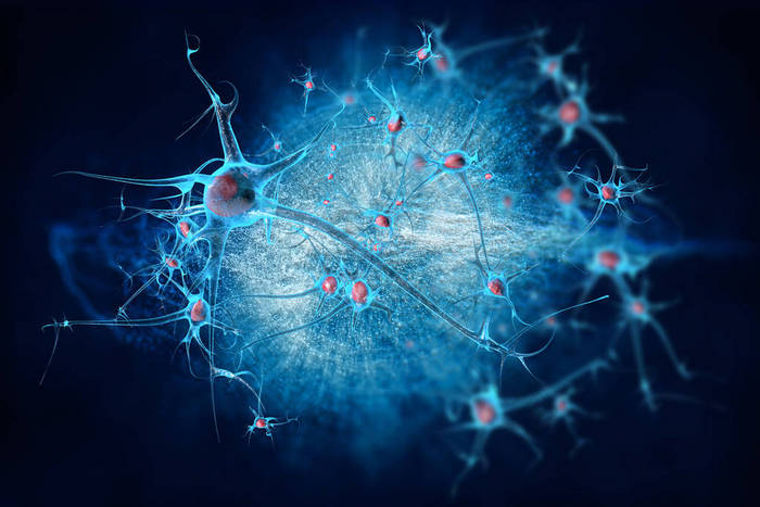 神经元细胞在科学背景下的大脑
