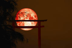 月亮背面剪影牌坊木日本柱子站立在树日落天空, 这个图片的元素由 Nasa 装备