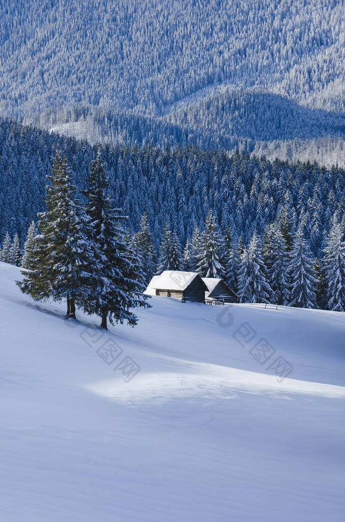 圣诞冬季景观。山小屋在冷杉雪森林。天气寒冷的晴天