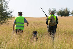 猎人与德国的德拉塔和猎犬, 鸽子狩猎与狗