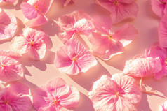 在粗糙的白色多孔表面上的大粉红色花瓣。晴天。从上面查看。长的阴影。花卉背景与微妙的色调。节日花瓣不小心散落.