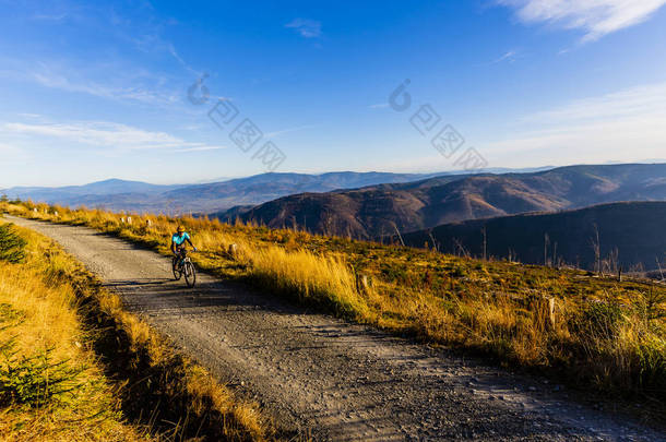 在<strong>秋天</strong>的<strong>山林</strong>景观中骑自行车的女人.女子自行车MTB流动小径。户外运动.