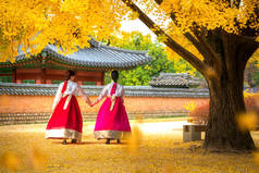 汉博克女士礼服走在首尔宫殿在银杏秋季花园, 首尔市, 韩国