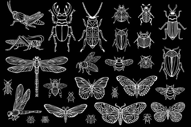 大手画线的昆虫虫, 甲虫, 蜜蜂, 蝴蝶蛾, 大黄蜂, 黄蜂, 蜻蜓, 蝗虫。剪影复古素描样式雕刻的例证.