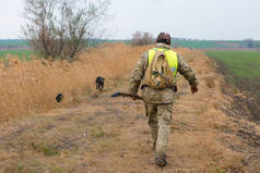 猎人与德国的德拉塔和猎犬, 鸽子狩猎与狗在反光背心
