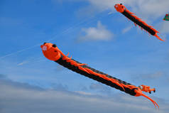 风筝飞向大西洋海滩上的天空飞翔的毛毛虫