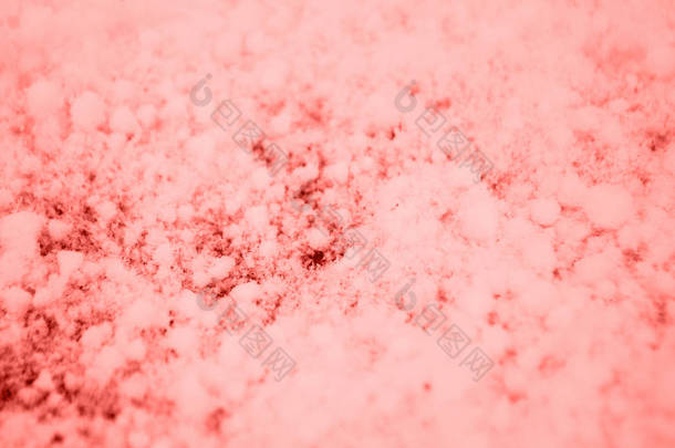 美丽的珊瑚色雪背景与详细的雪花.