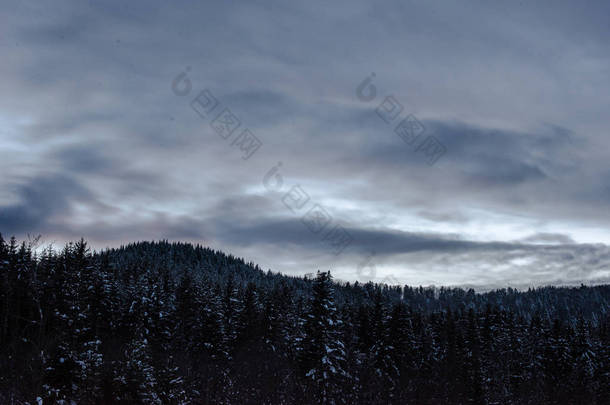 晚上, 喀尔巴泰山的风景被<strong>阴云密布</strong>的天空和树木覆盖着雪 