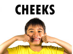 英语学习卡与8岁的孩子拉他的脸颊隔离在白色的背景作为学校卡设置的身体和面部部分的一部分, 在教育和习语课