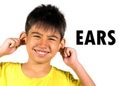 在教育和习语课中, 作为学校卡片的身体和面部部分的一部分, 8岁儿童触摸的肖像拉扯在白色背景上的两只耳朵