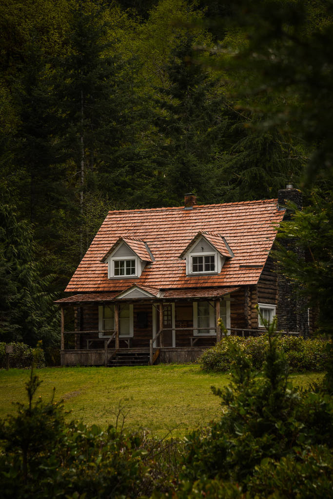 静谧幽静的森林中的小屋