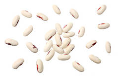 在白色背景上分离的白色肾豆。 顶部视图 