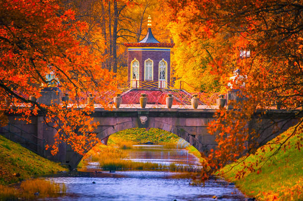 俄罗斯。秋天。有黄叶的树。普希金公园。圣彼得堡的<strong>邻里</strong>.