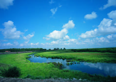 大平原景观