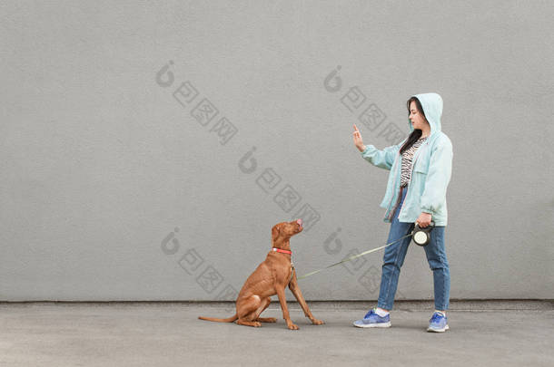 穿着夹克的女人把一只狗训练在灰色的墙边。<strong>主人</strong>手里拿着狗粮,狗舔着看<strong>主人</strong>。女人在墙的背景下和狗玩