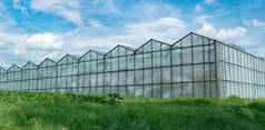 工业规模的温室，用于种植蔬菜和水果。 