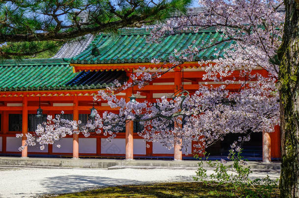 日本京都樱花盛开的古庙。樱花节是日本一年中最丰富多彩的活动之一.