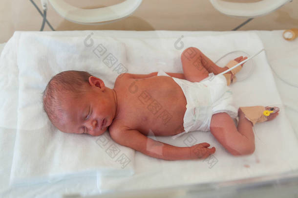早产儿在医院的孵化器里.新生儿特护病房 