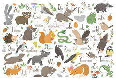 儿童林地字母表。可爱的平Abc与森林动物