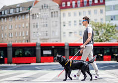 年轻的盲人与白色的拐杖和导盲犬在城市穿过街道.