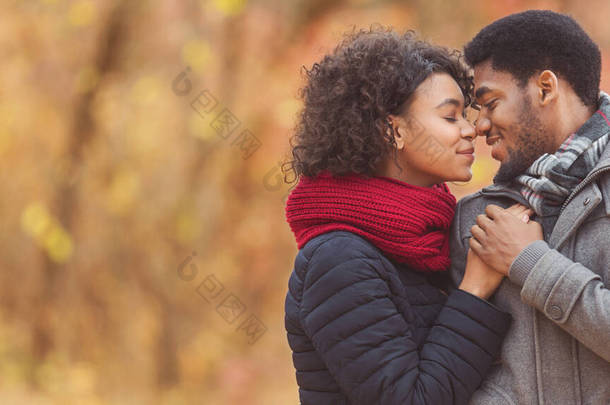 <strong>爱情</strong>的非洲裔美国夫妇在秋天的公园分享<strong>爱情</strong>的时刻