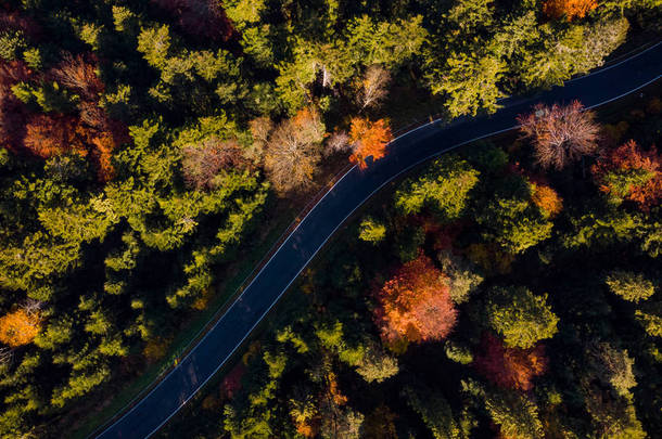 秋天的道路崎岖的森林。 上下颠倒的无人机 色彩艳丽的民俗