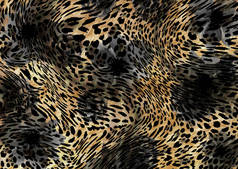 黑豹和棕豹的皮肤形态