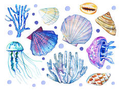 一套海豹动物。 海鸥，水母，珊瑚。 手绘水彩画示意图