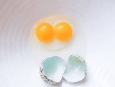鹌鹑蛋，白盘上的双层蛋黄碎了。 蛋白质来源和健康饮食概念.