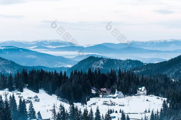 有松树和小村子的雪山景致