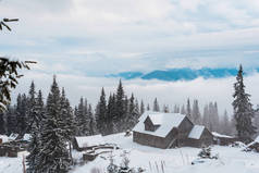 雪山美景，松林，白云飞扬