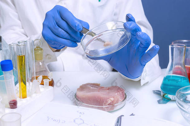 质量控制<strong>专家</strong>在实验室对肉制品进行检验