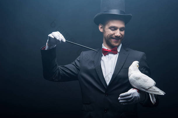快乐的魔术师，戴着帽子，带着鸽子和魔杖，在黑暗的房间里，带着浓烟，做着无赖 