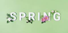 春天的信，白色和粉红色的花与淡绿色的背景。最小自然季节概念.