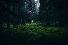 绿色森林里的跑步者在雨中奔跑。体育的本质。小径跑