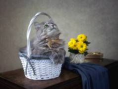 迷人的灰色猫咪正坐在礼品篮里