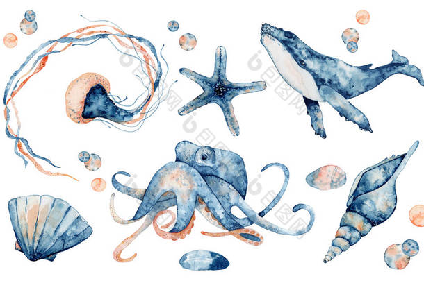 一组海洋动物。蓝色水彩鱼，美杜莎，鲸鱼，海马，章鱼.