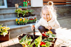 一个金发碧眼的小女孩在她的后院里开着一盆秋海棠花。这个女孩移植了花。家庭园艺。日落时分