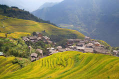 龙生稻田（龙骨）又称龙骨稻田，位于中国广西桂林约100公里（62英里）的龙生县