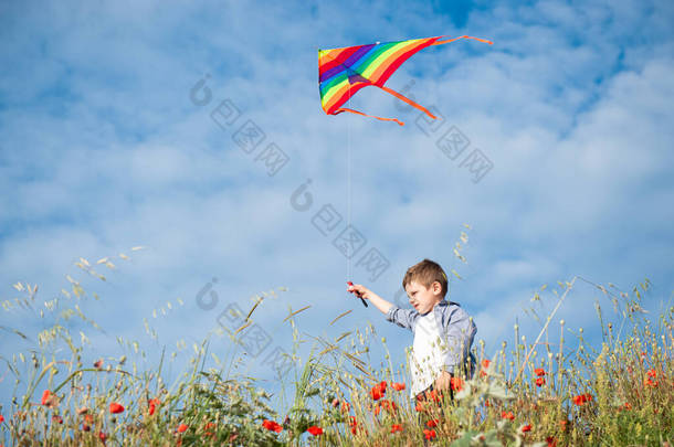 活泼的小男孩身穿衬衫，站在花田中间，带着五彩<strong>缤纷</strong>的风筝，站在明媚的<strong>夏日</strong>蓝天背景上