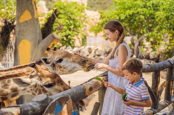 快乐的母亲和儿子在动物园里照看和喂长颈鹿.快乐的家庭在温暖的夏日与动物一起游览公园