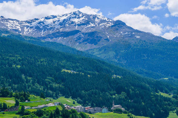 意大利南蒂罗尔Trentino-Alto Adige地区葡萄园和果园谷地夏季景观壮观。风景景观。葡萄酒生产是这个地区的主要工业之一.